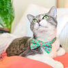 Cat Collar - "Flamingo Palms - Aqua" - Mint Green Tropical Cat Collar / Summer, Beach / Breakaway Buckle or Non-Breakaway / Cat, Kitten + Small Dog Sizes