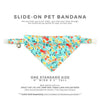 Pet Bandana - "Ocean Life" - Aquatic Fish Bandana for Cat + Small Dog / Summer, Beach, Sea, Marine / Slide-on Bandana / Over-the-Collar (One Size)