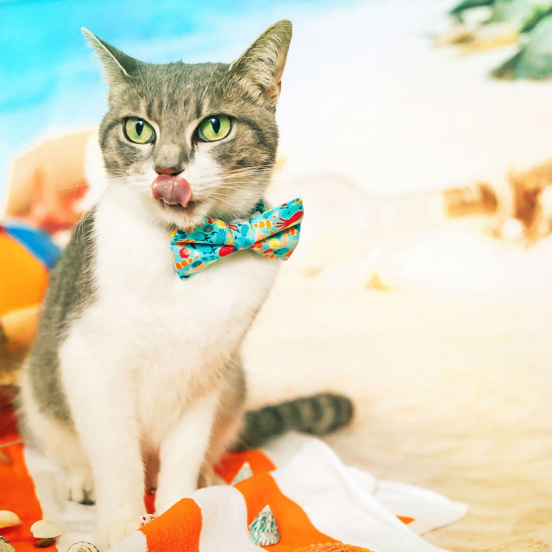 Pet Bow Tie - "Ocean Life" - Aquatic Cat Bow Tie / Summer, Fish, Beach, Sea, Marine / For Cats + Small Dogs (One Size)