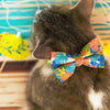 Cat Collar - "Tiki Dreams" - Monstera Tropical Cat Collar / Summer, Beach, Hawaiian / Breakaway Buckle or Non-Breakaway / Cat, Kitten + Small Dog Sizes