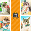 Pet Bandana - "Bon Voyage" - Rifle Paper Co® Postage Stamps Bandana for Cat + Small Dog / World Travel / Slide-on Bandana / Over-the-Collar (One Size)