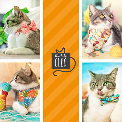 Cat Collar + Flower Set - "Cabana Crush" - Monstera Tropical Cat Collar w/ Mint Felt Flower (Detachable)