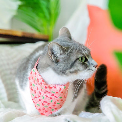 Cat Collar - "Flamingo Palms - Coral Pink" - Tropical Pink Cat Collar / Summer, Beach / Breakaway Buckle or Non-Breakaway / Cat, Kitten + Small Dog Sizes