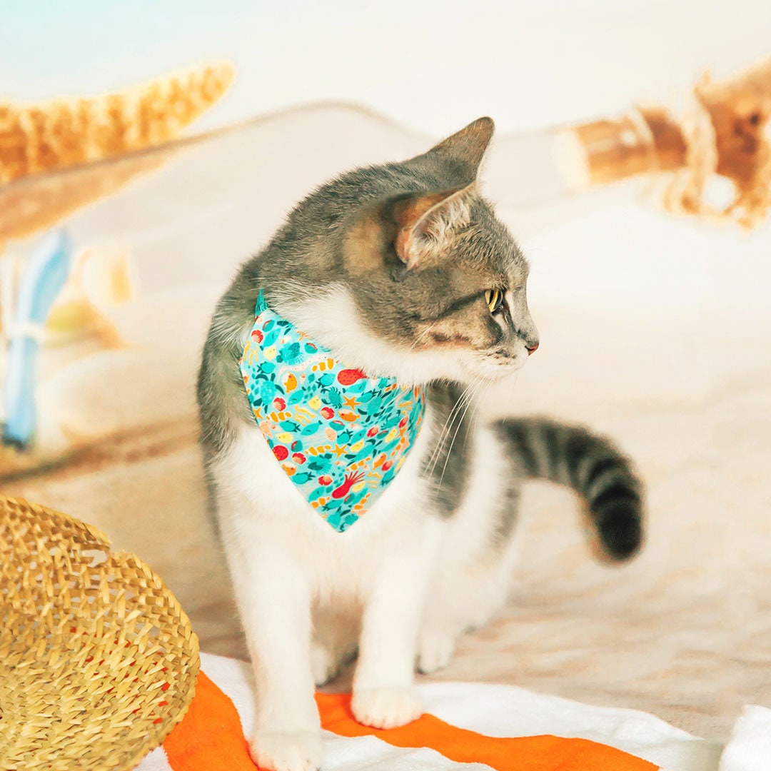 Pet Bandana - "Ocean Life" - Aquatic Fish Bandana for Cat + Small Dog / Summer, Beach, Sea, Marine / Slide-on Bandana / Over-the-Collar (One Size)