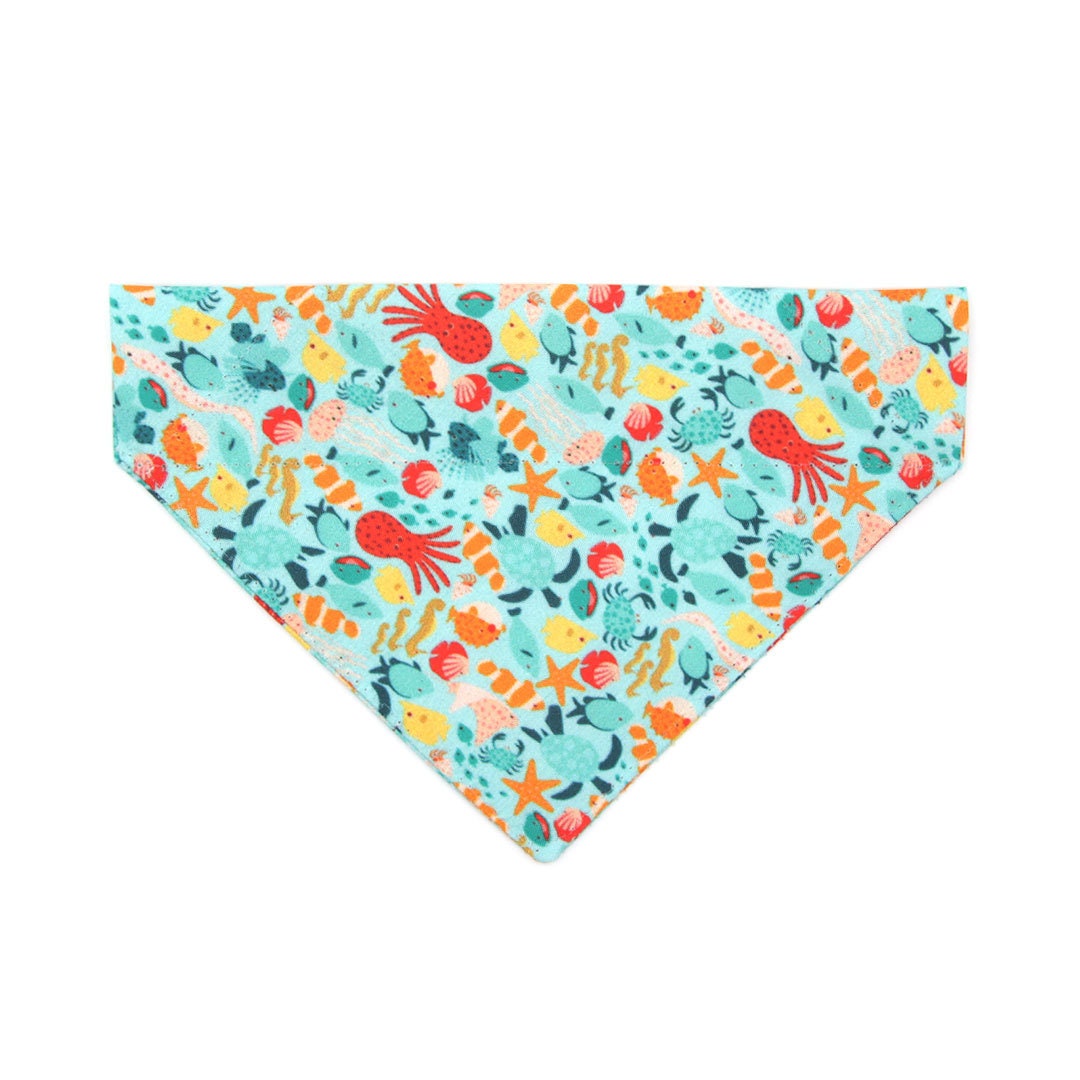 Pet Bandana - "Ocean Life" - Aquatic Fish Bandana for Cat + Small Dog / Summer, Beach, Sea, Marine / Slide-on Bandana / Over-the-Collar (One Size)