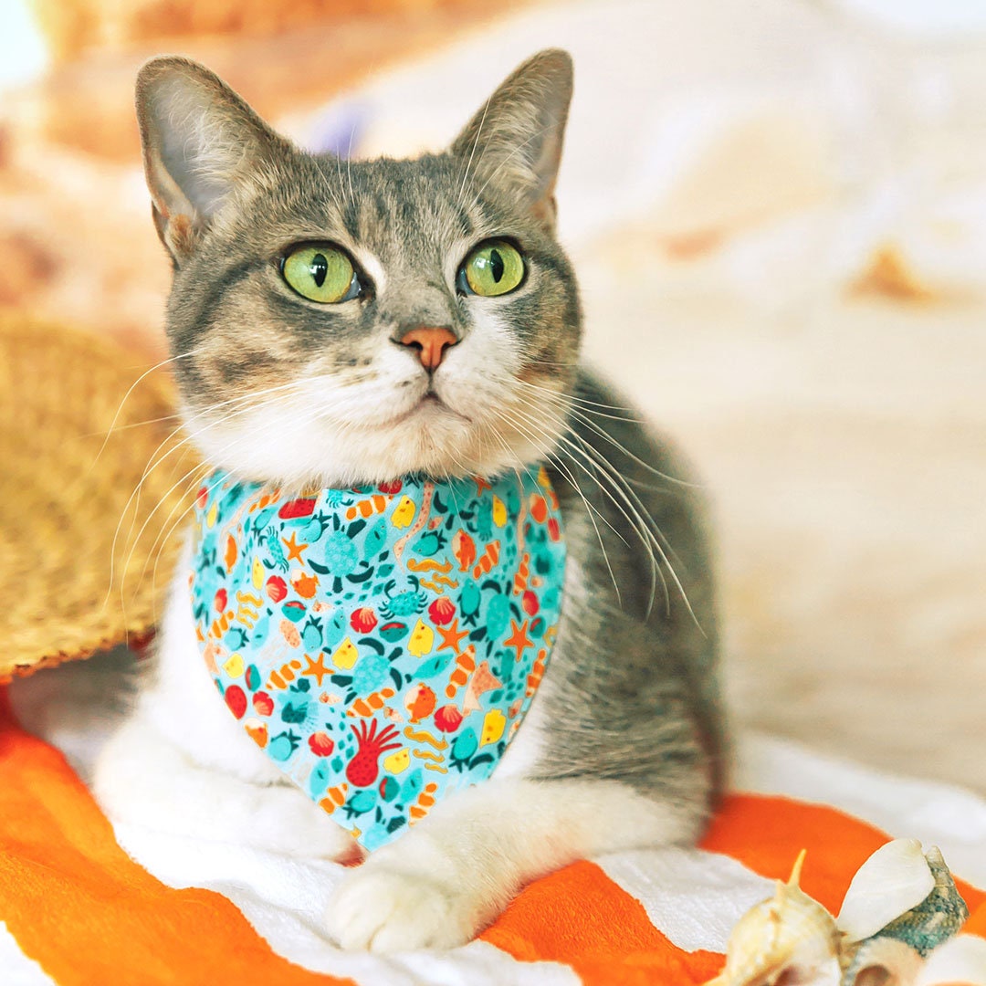 Cat Collar - "Ocean Life" - Aquatic Fish Cat Collar / Summer, Beach, Sea, Marine, Water / Breakaway Buckle or Non-Breakaway / Cat, Kitten + Small Dog Sizes