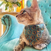 Cat Collar - "Peacock" - Art Nouveau Gold & Teal Cat Collar / Fall, Feathers, Art Deco / Breakaway Buckle or Non-Breakaway / Cat, Kitten + Small Dog Sizes