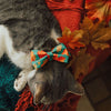 Pet Bow Tie - "Maple Hill" - Autumn Leaves Cat Bow Tie / Fall, Autumn, Maple Leaf, Canada, Thanksgiving / For Cats + Small Dogs (One Size)