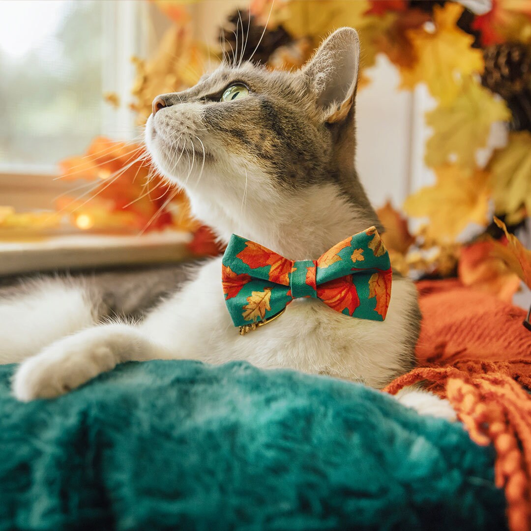 Pet Bow Tie - "Maple Hill" - Autumn Leaves Cat Bow Tie / Fall, Autumn, Maple Leaf, Canada, Thanksgiving / For Cats + Small Dogs (One Size)