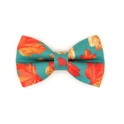 Pet Bow Tie - "Maple Hill" - Autumn Leaves Cat Bow Tie / Fall, Autumn, Maple Leaf, Canada, Thanksgiving / For Cats + Small Dogs (One Size)