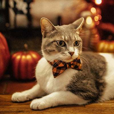 Pet Bow Tie - "Cabin Fever" - Halloween Plaid Cat Bow Tie / Orange Black Buffalo Check / For Cats + Small Dogs (One Size)