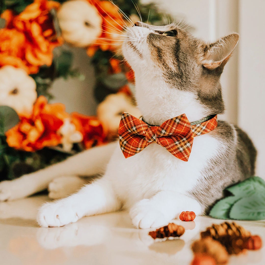 Cat Collar - "Pecan Praline" - Orange Plaid Cat Collar / Fall, Autumn, Harvest, Thanksgiving, Wedding / Breakaway Buckle or Non-Breakaway / Cat, Kitten + Small Dog Sizes