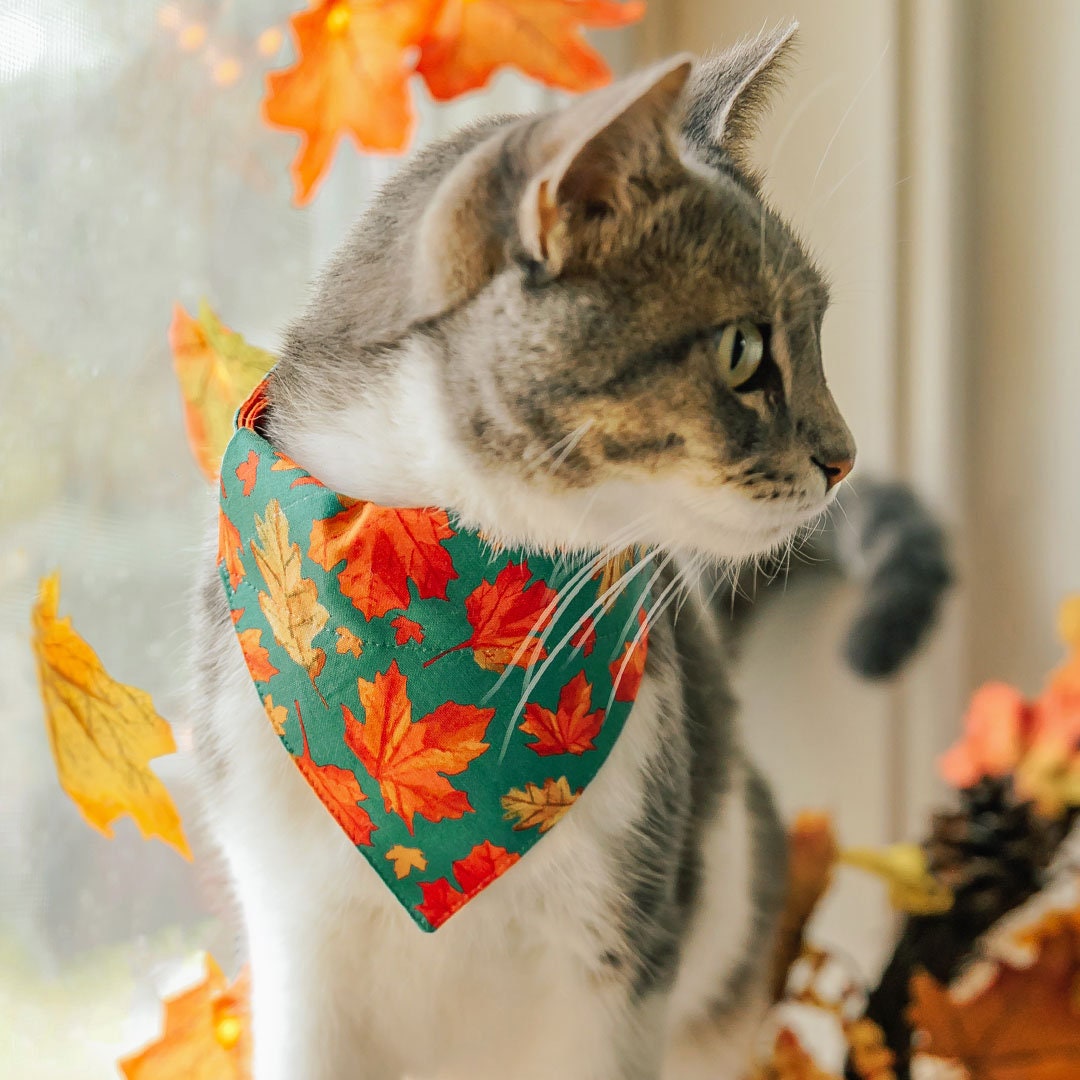 Cat Collar - "Maple Hill" - Autumn Leaves Cat Collar / Fall, Thanksgiving, Maple Leaf, Teal / Breakaway Buckle or Non-Breakaway / Cat, Kitten + Small Dog Sizes