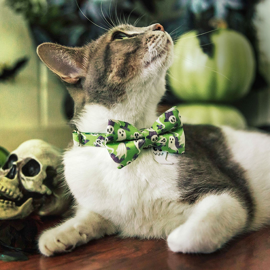 Cat Collar - "Ghostly Gathering" - Halloween Green Ghost Cat Collar / Haunted Graveyard, Cemetery, Skulls / Breakaway Buckle or Non-Breakaway / Cat, Kitten + Small Dog Sizes
