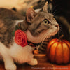Cat Collar - "Cabin Fever" - Halloween Plaid Cat Collar / Black Orange Buffalo Check / Breakaway Buckle or Non-Breakaway / Cat, Kitten + Small Dog Sizes