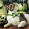 Bow Tie Cat Collar Set - "Ghostly Gathering" - Halloween Green Ghost Cat Collar w/ Matching Bowtie / Haunted Graveyard / Cat, Kitten, Small Dog Sizes Sizes