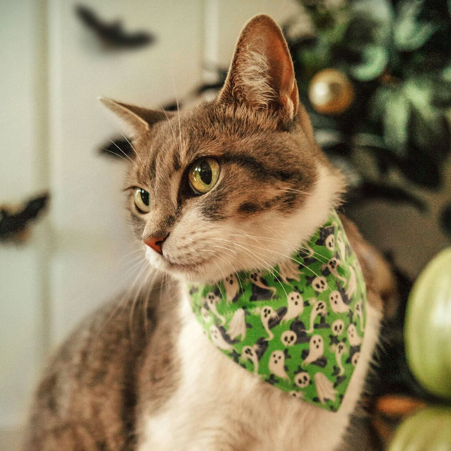Pet Bandana - "Ghostly Gathering" - Halloween Green Ghost Bandana for Cat + Small Dog / Skulls, Haunted Graveyard, Cemetery / Slide-on Bandana / Over-the-Collar (One Size)
