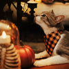 Pet Bandana - "Cabin Fever" - Halloween Plaid Bandana for Cat + Small Dog / Black Orange Buffalo Check / Slide-on Bandana / Over-the-Collar (One Size)