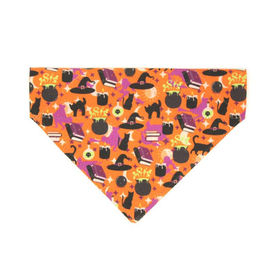 Pet Bandana - "Hocus Pocus - Orange" - Halloween Bandana for Cat + Small Dog / Witch, Spells, Cauldron, Sanderson, Binx, Potions / Slide-on Bandana / Over-the-Collar (One Size)