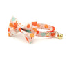 Bow Tie Cat Collar Set - "Gourd Times" - Pumpkin Cat Collar w/ Matching Bowtie / Peach, Orange & Mint / Fall, Autumn, Thanksgiving / Cat, Kitten, Small Dog Sizes Sizes