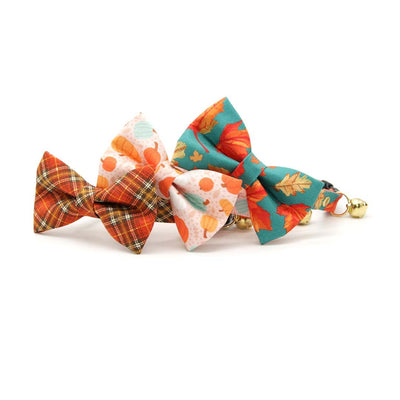 Pet Bow Tie - "Gourd Times" - Modern Pumpkin Cat Bow Tie / Fall, Autumn, Thanksgiving / For Cats + Small Dogs (One Size)