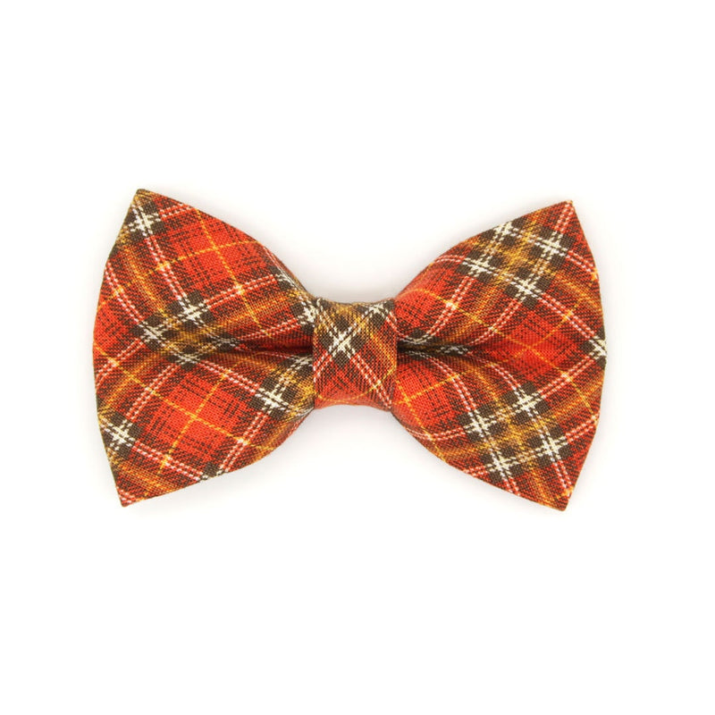 Pet Bow Tie - "Pecan Praline" - Burnt Orange Plaid Cat Bow Tie / Fall, Autumn, Thanksgiving / For Cats + Small Dogs (One Size)