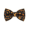 Pet Bow Tie - "Moonlight - Black" - Halloween Moon & Stars Cat Bow Tie / Celestial, Zodiac, Magic, Astronomy, Lunar / For Cats + Small Dogs (One Size)
