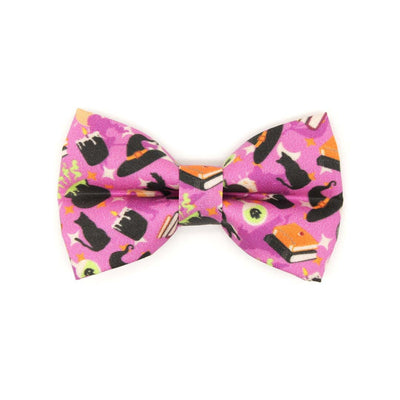 Pet Bow Tie - "Hocus Pocus - Purple" - Halloween Cat Bow Tie / Witch, Spells, Cauldron, Potions / For Cats + Small Dogs (One Size)