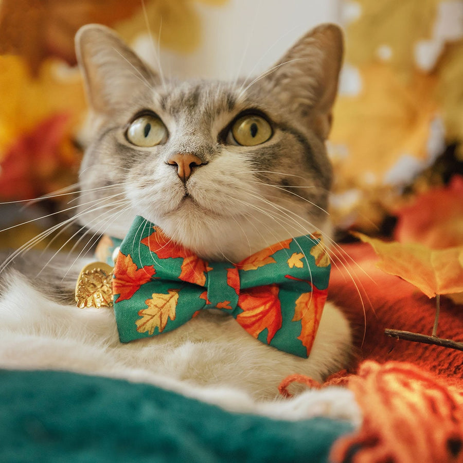 Bow Tie Cat Collar Set - "Maple Hill" - Autumn Leaves Cat Collar w/ Matching Bowtie / Fall, Thanksgiving, Teal / Cat, Kitten, Small Dog Sizes Sizes