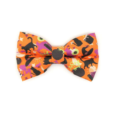 Bow Tie Cat Collar Set - "Hocus Pocus - Orange" - Halloween Cat Collar w/ Matching Bowtie / Witch, Binx, Cauldron, Sanderson / Cat, Kitten, Small Dog Sizes Sizes