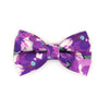 Bow Tie Cat Collar Set - "Persephone" - Painterly Floral Purple Cat Collar w/ Matching Bowtie / Wedding, Violet, Pansies / Cat, Kitten, Small Dog Sizes Sizes