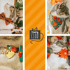 Cat Collar + Flower Set - "Campfire" - Smoky Plaid Cat Collar w/ Mint Felt Flower (Detachable)