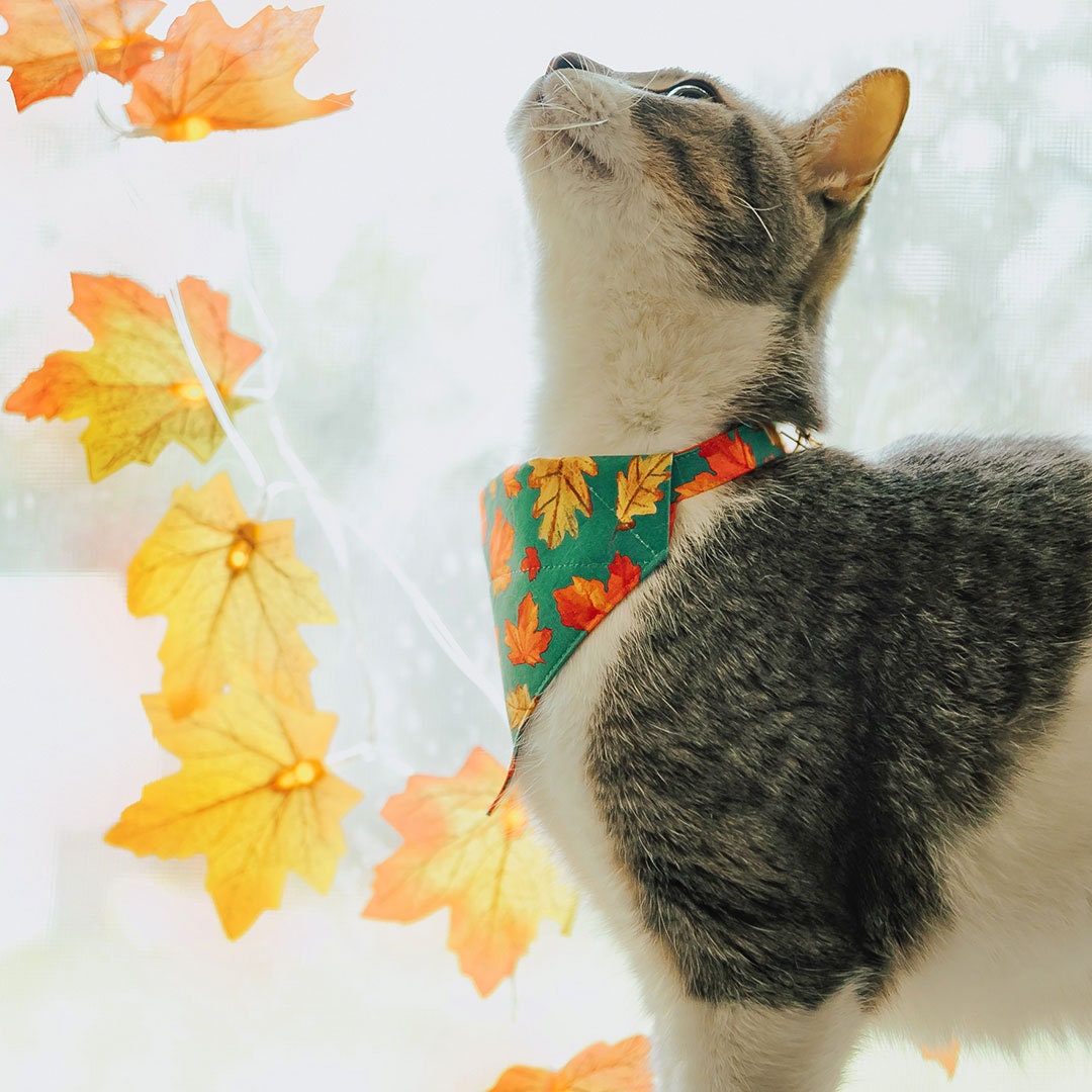 Pet Bandana - "Maple Hill" - Autumn Leaves Bandana for Cat + Small Dog / Fall, Thanksgiving, Canada, Maple Leaf / Slide-on Bandana / Over-the-Collar (One Size)