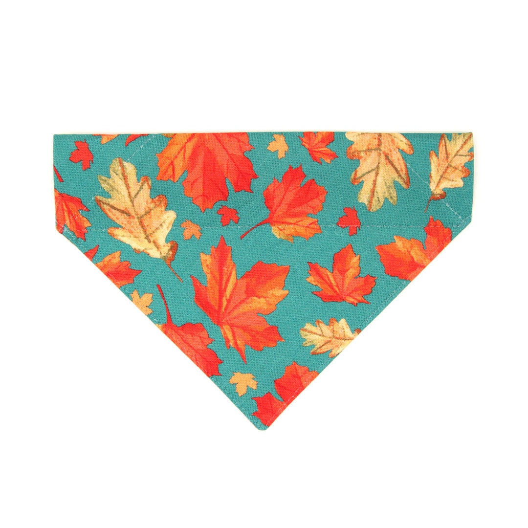 Pet Bandana - "Maple Hill" - Autumn Leaves Bandana for Cat + Small Dog / Fall, Thanksgiving, Canada, Maple Leaf / Slide-on Bandana / Over-the-Collar (One Size)