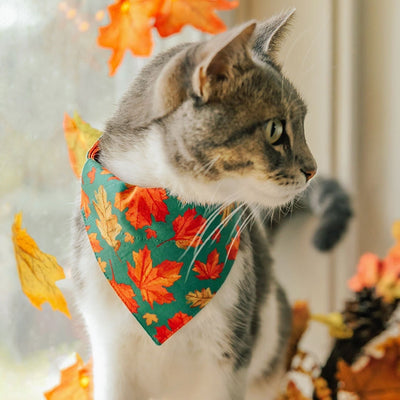 Pet Bandana - "Maple Hill" - Autumn Leaves Bandana for Cat + Small Dog / Fall, Thanksgiving, Canada, Maple Leaf / Slide-on Bandana / Over-the-Collar (One Size)