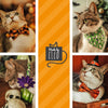 Pet Bandana - "Hocus Pocus - Orange" - Halloween Bandana for Cat + Small Dog / Witch, Spells, Cauldron, Sanderson, Binx, Potions / Slide-on Bandana / Over-the-Collar (One Size)