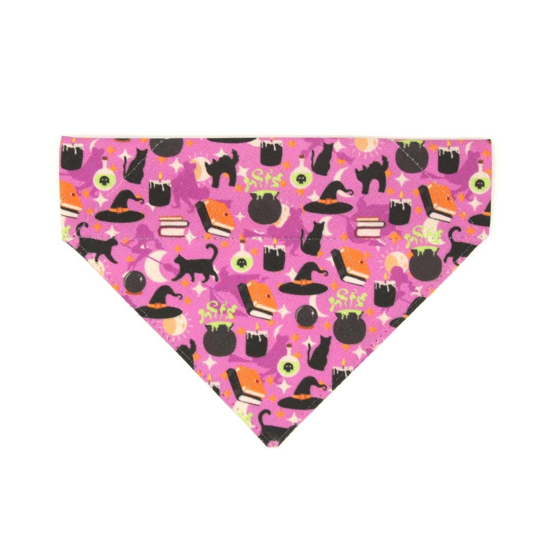 Pet Bandana - "Hocus Pocus - Purple" - Halloween Bandana for Cat + Small Dog / Witch, Spells, Cauldron, Sanderson, Binx, Potions / Slide-on Bandana / Over-the-Collar (One Size)