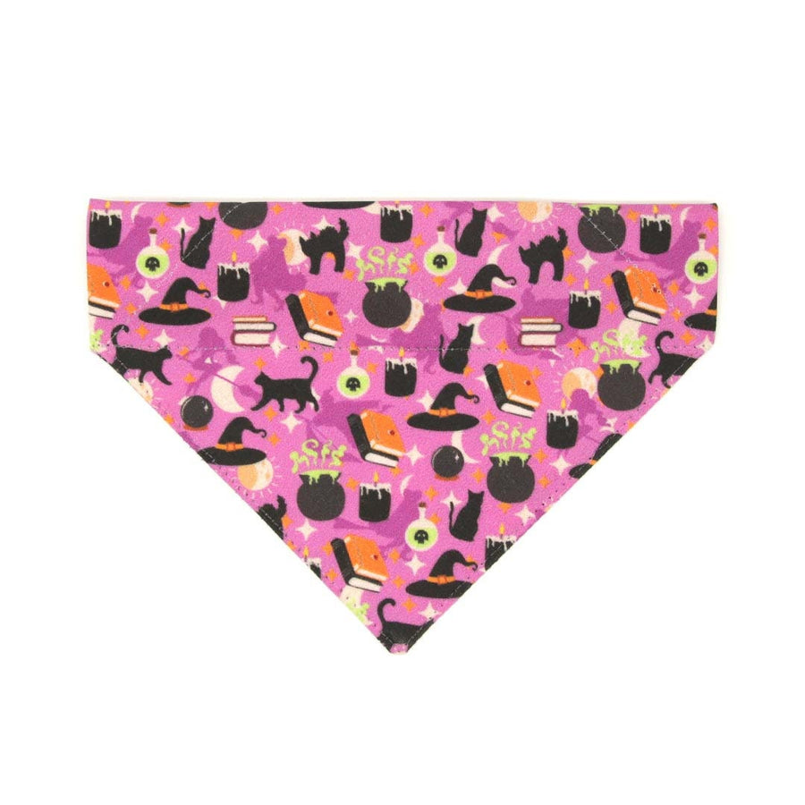 Pet Bandana - "Hocus Pocus - Purple" - Halloween Bandana for Cat + Small Dog / Witch, Spells, Cauldron, Sanderson, Binx, Potions / Slide-on Bandana / Over-the-Collar (One Size)