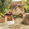 Pet Bow Tie - "Rustic Christmas" - Green Pine, Poinsettia & Berries Cat Bow Tie / Holiday / For Cats + Small Dogs (One Size)