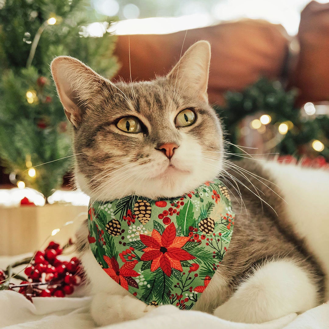 Holiday Cat And Dog