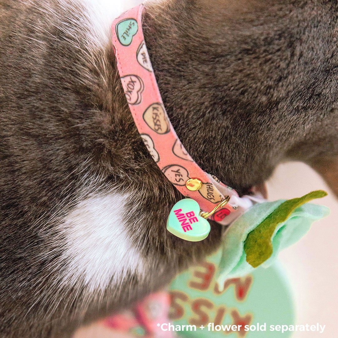 Cat Collar - "Conversation Hearts - Pink" - Candy Heart Cat Collar / Valentine's Day / Breakaway Buckle or Non-Breakaway / Cat, Kitten + Small Dog Sizes