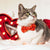 Bow Tie Cat Collar Set - "Cupid's Arrow" - Valentine's Day Red Heart Cat Collar w/ Matching Bowtie / Cat, Kitten, Small Dog Sizes