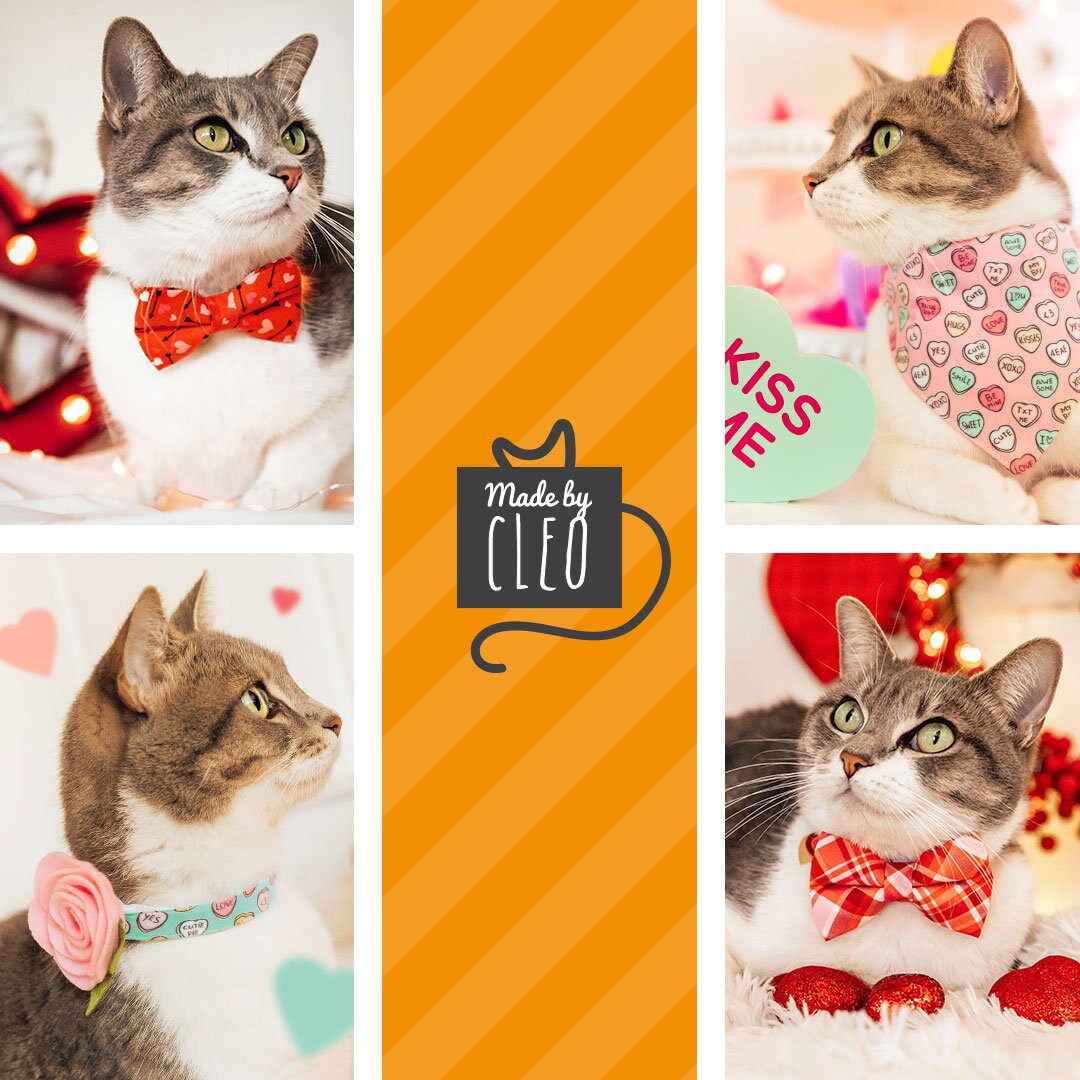 Pet Bandana - "Conversation Hearts - Mint" - Candy Heart Sayings Bandana for Cat + Small Dog / Valentine's Day / Slide-on Bandana / Over-the-Collar (One Size)