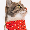 Pet Bandana - "Cupid's Arrow" - Valentine's Day Heart Bandana for Cat + Small Dog / Slide-on Bandana / Over-the-Collar (One Size)