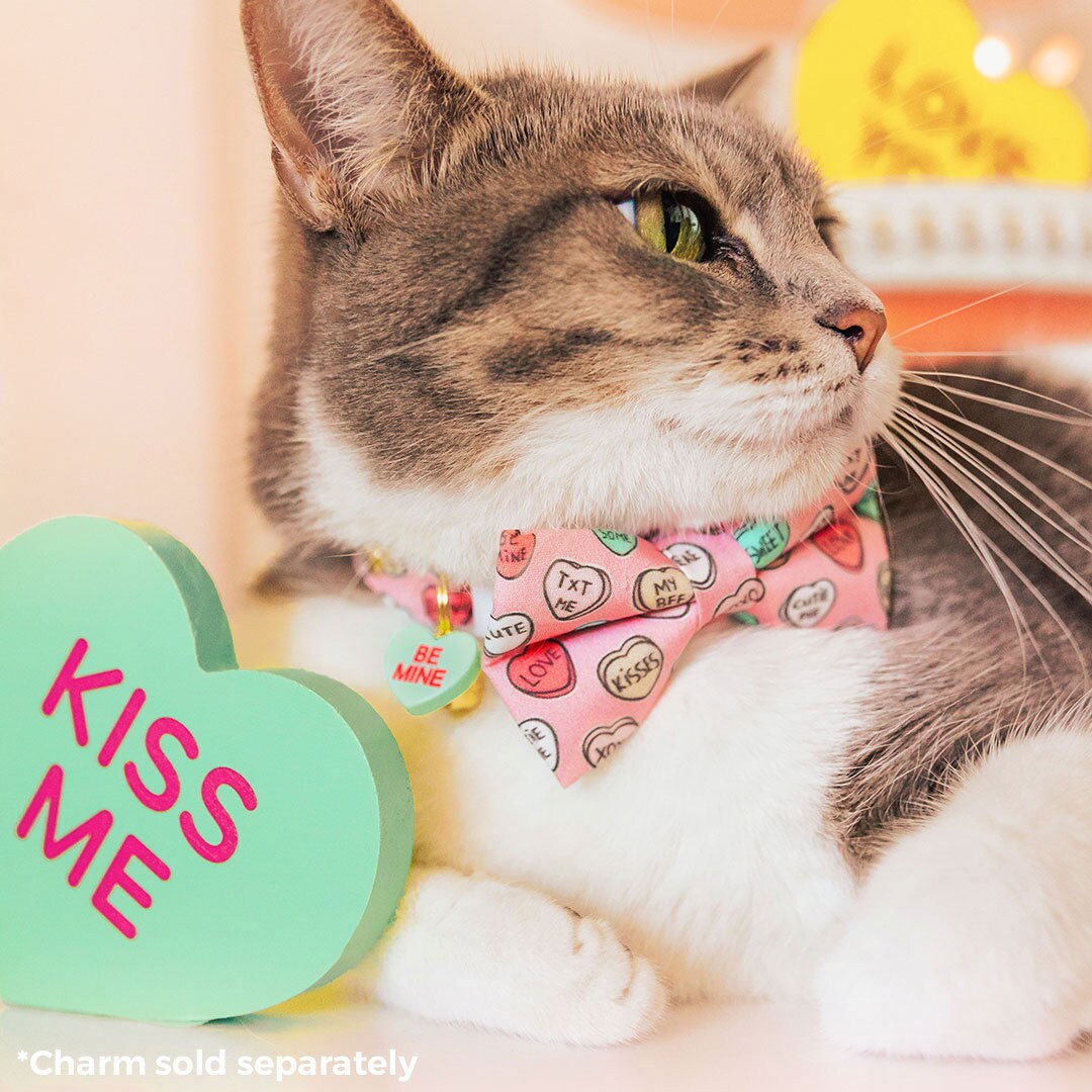 Bow Tie Cat Collar Set - "Conversation Hearts - Pink" - Candy Heart Cat Collar w/ Matching Bowtie / Valentine's Day / Cat, Kitten, Small Dog Sizes