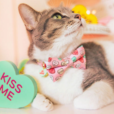 Bow Tie Cat Collar Set - "Conversation Hearts - Pink" - Candy Heart Cat Collar w/ Matching Bowtie / Valentine's Day / Cat, Kitten, Small Dog Sizes