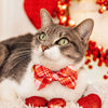 Pet Bow Tie - "Hot Date" - Pink & Red Plaid Cat Bow Tie / Valentine's Day / For Cats + Small Dogs (One Size)