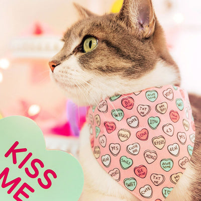 Cat Collar - "Conversation Hearts - Pink" - Candy Heart Cat Collar / Valentine's Day / Breakaway Buckle or Non-Breakaway / Cat, Kitten + Small Dog Sizes