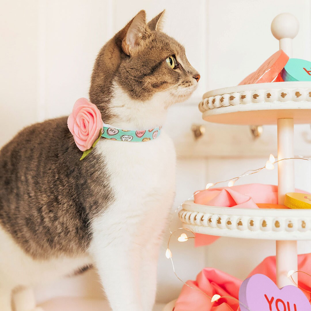 Cat Collar - "Conversation Hearts - Mint" - Candy Heart Sayings Cat Collar / Valentine's Day / Breakaway Buckle or Non-Breakaway / Cat, Kitten + Small Dog Sizes