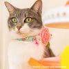 Cat Collar - "Conversation Hearts - Mint" - Candy Heart Sayings Cat Collar / Valentine's Day / Breakaway Buckle or Non-Breakaway / Cat, Kitten + Small Dog Sizes